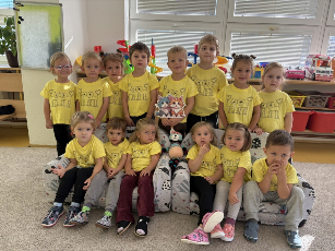 Koťátka v tričkách